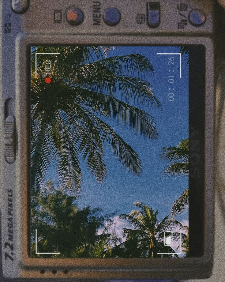 a camera with palm trees in the background