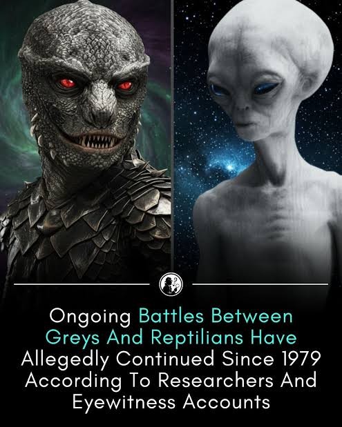 Greys versus Reptilians