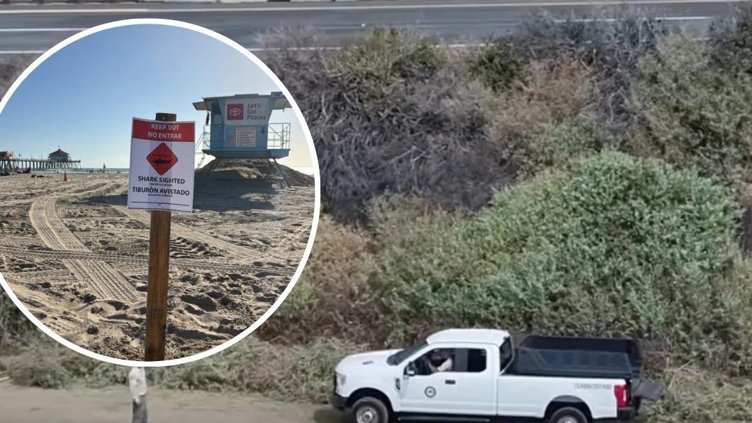 Shark sighted sign in Huntington Beach